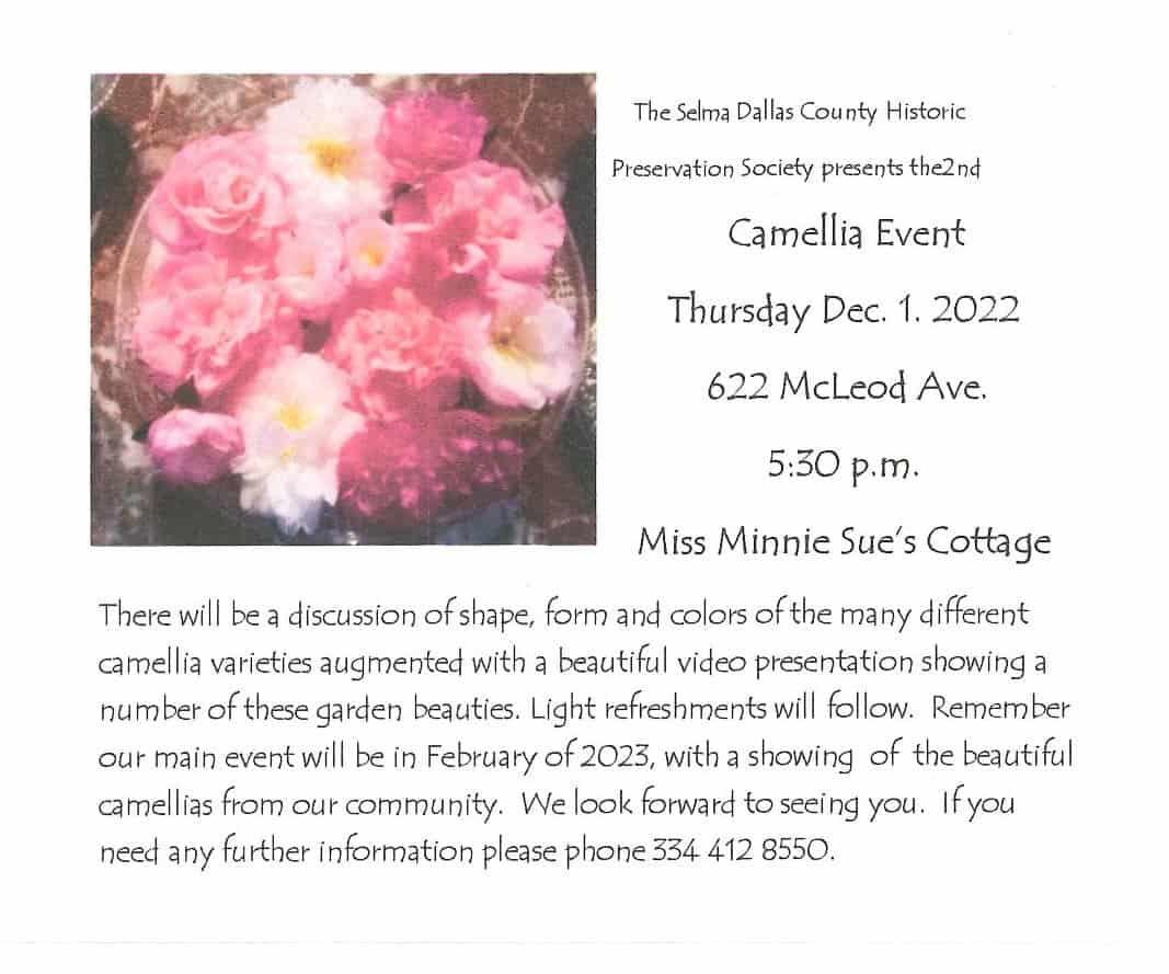 2nd Camellia Event